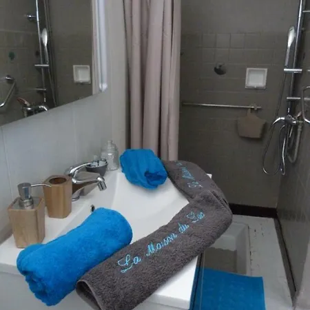 Pensionat La Maison Du Lac Aubin (Aveyron)